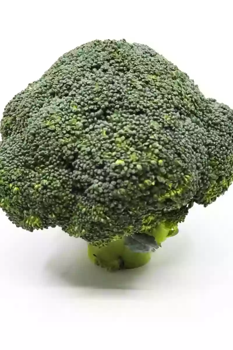 Frischer Brokkoli – Brassica oleracea var. italica