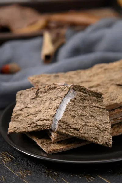 Du Zhong 杜仲 Eucommia bark — close-up of dried bark pieces