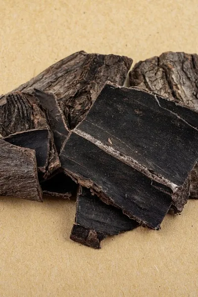 Du Zhong 杜仲 — Eucommia ulmoides bark as TCM ingredient
