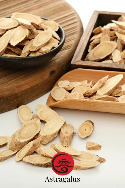 Astragalus (Huang Qi) Scheiben — TCM-Zutat für die Kraftsuppe