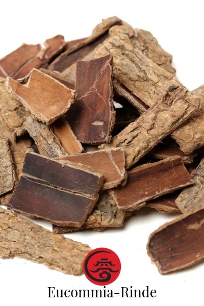 Eucommia-Rinde (Du Zhong) — TCM-Zutat